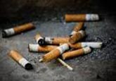 cigarette butts - 165x115