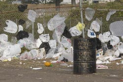 environmental awareness - plastic bags on fence - 250x167